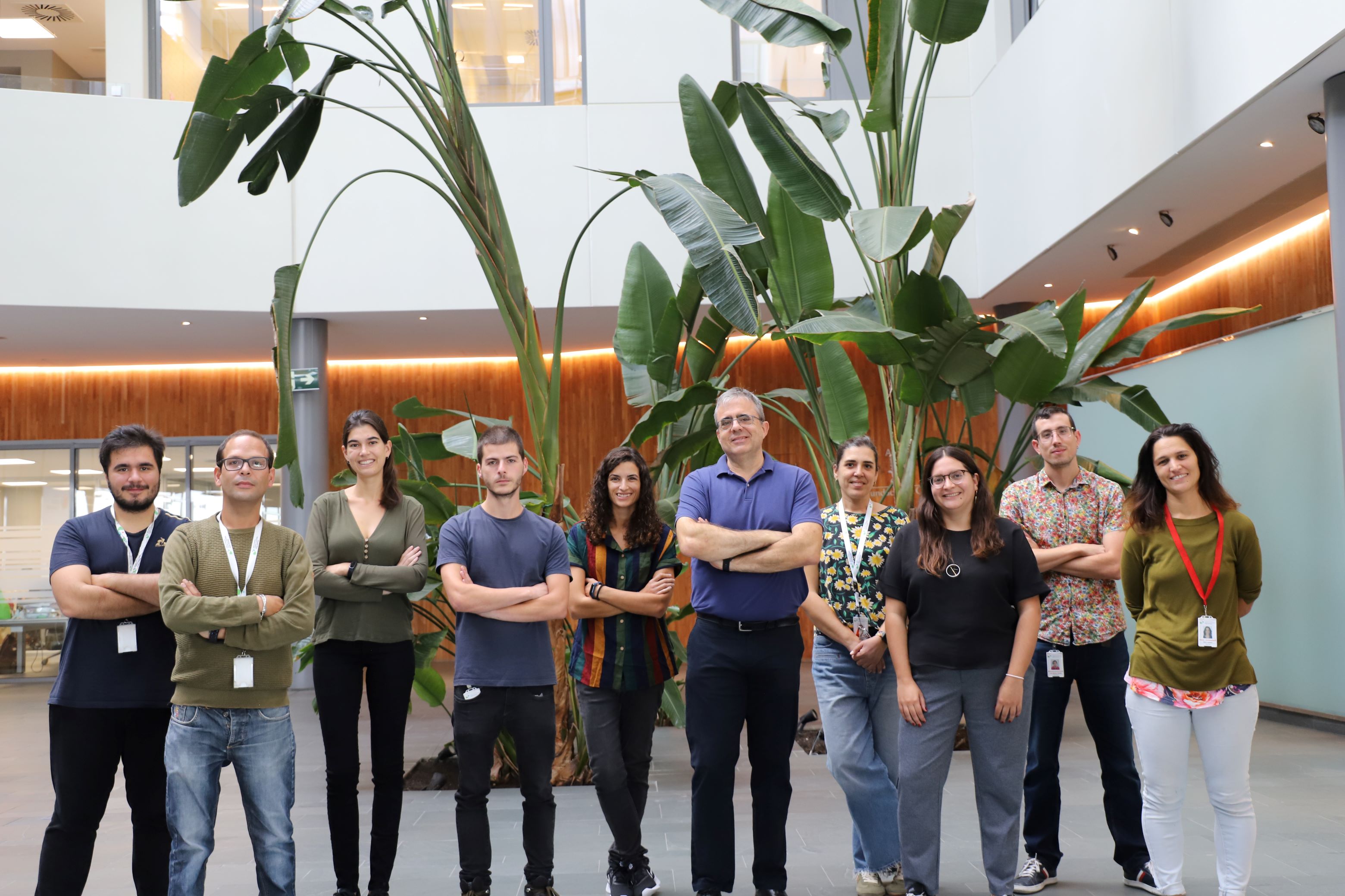 Understanding the maturation of white blood cells to find new therapies